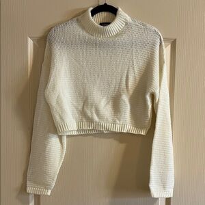 Express Cream Cropped Turtleneck Sweater